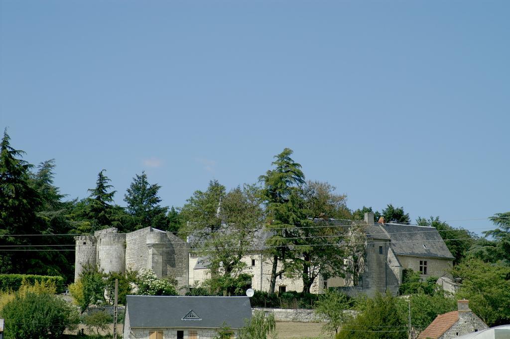 Chateau De La Roche Martel Roiffé Exterior photo